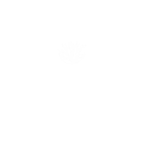 Moss Mode